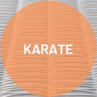 Karate Dojo Mats