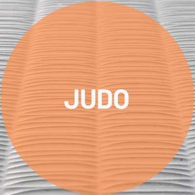 JUDO flooring