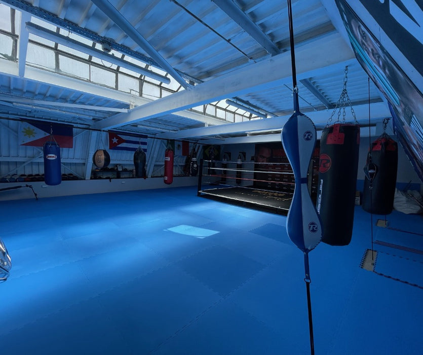 Boxing Gym 20mm red blue mats